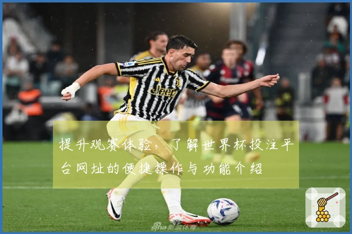 提升观赛体验，了解世界杯投注平台网址的便捷操作与功能介绍