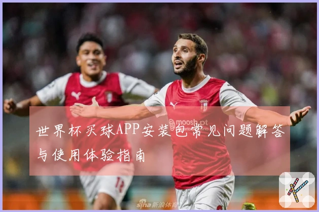 世界杯买球APP安装包常见问题解答与使用体验指南