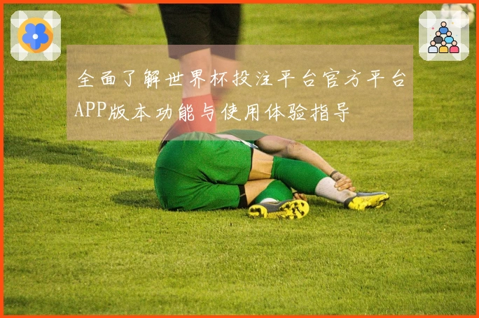 全面了解世界杯投注平台官方平台APP版本功能与使用体验指导