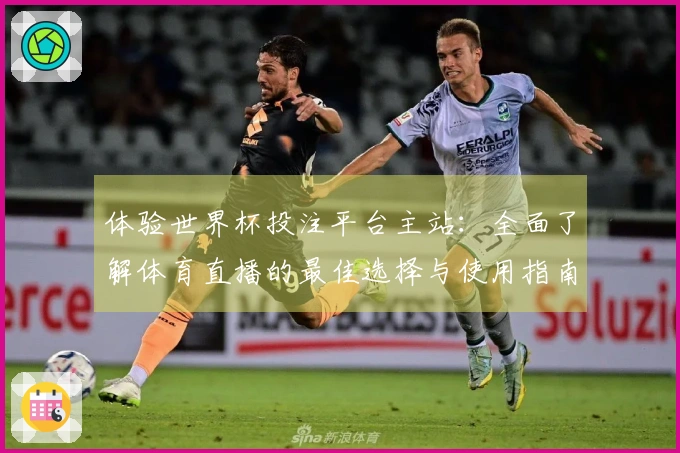 体验世界杯投注平台主站：全面了解体育直播的最佳选择与使用指南