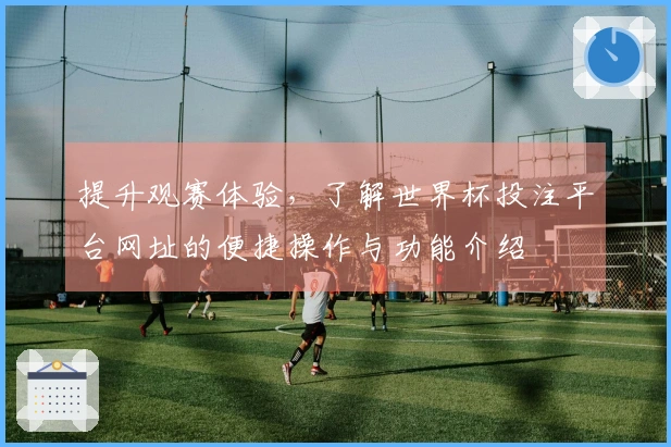 提升观赛体验，了解世界杯投注平台网址的便捷操作与功能介绍