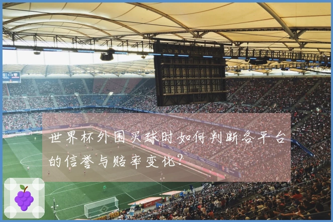 世界杯外围买球时如何判断各平台的信誉与赔率变化？