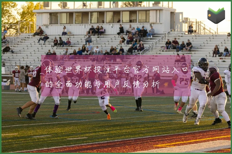 体验世界杯投注平台官方网站入口的全面功能与用户反馈分析