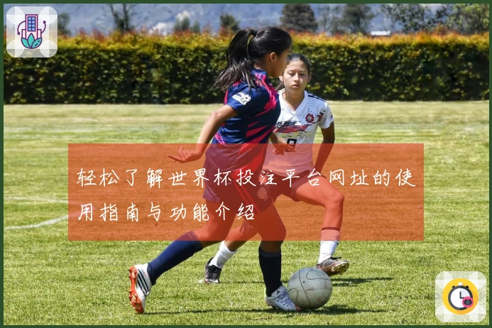 轻松了解世界杯投注平台网址的使用指南与功能介绍