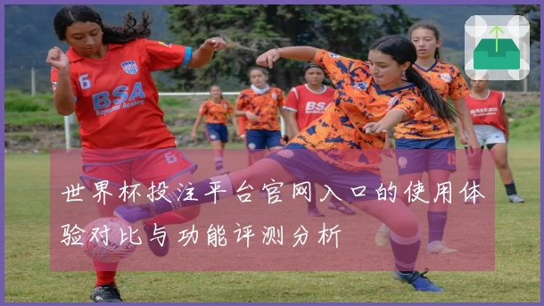 世界杯投注平台官网入口的使用体验对比与功能评测分析