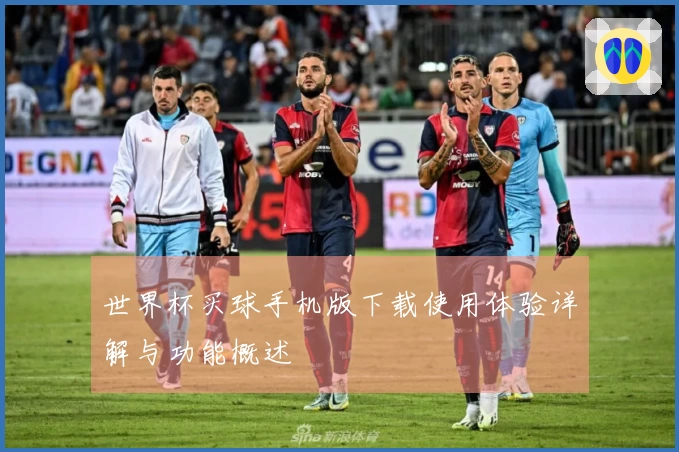 世界杯买球手机版下载使用体验详解与功能概述