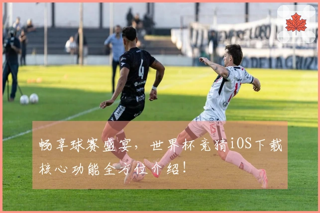 畅享球赛盛宴,世界杯竞猜iOS下载核心功能全方位介绍!