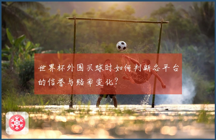 世界杯外围买球时如何判断各平台的信誉与赔率变化?