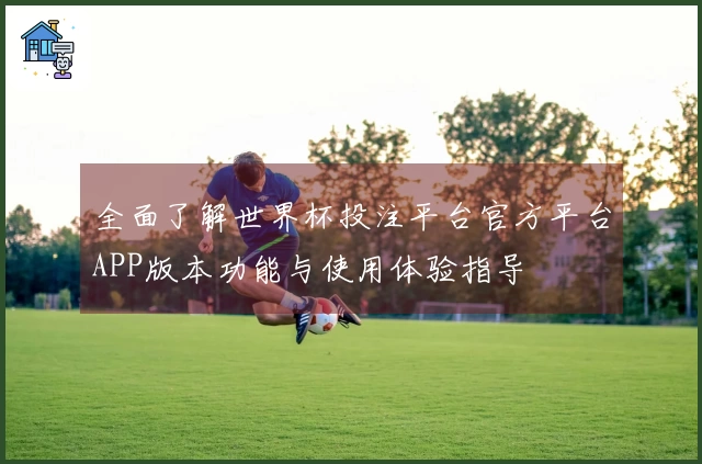 全面了解世界杯投注平台官方平台APP版本功能与使用体验指导