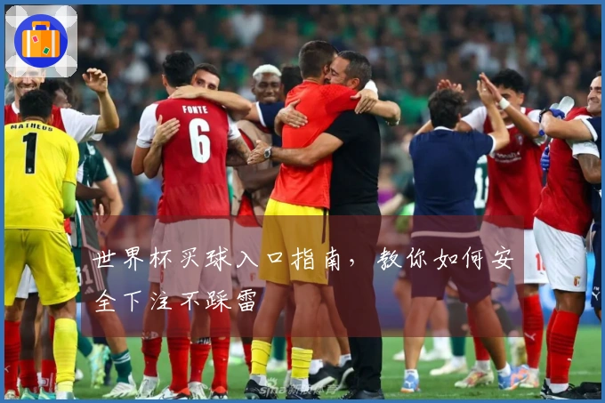 世界杯买球入口指南，教你如何安全下注不踩雷