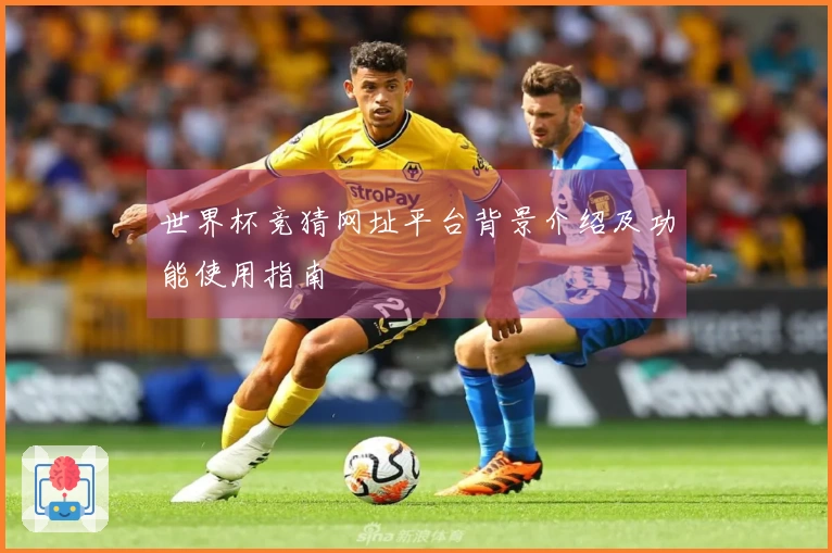 世界杯竞猜网址平台背景介绍及功能使用指南