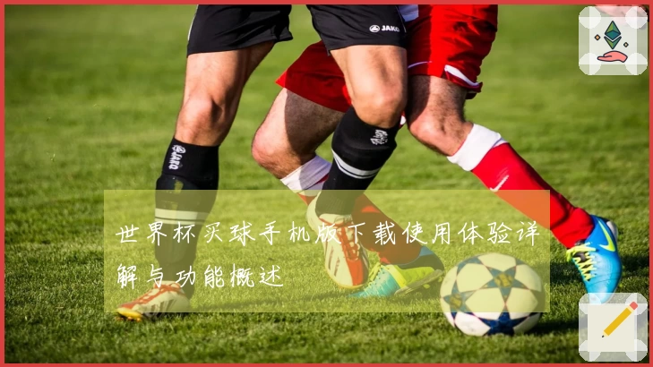 世界杯买球手机版下载使用体验详解与功能概述