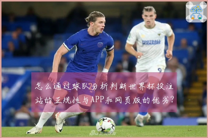 怎么通过球队分析判断世界杯投注站的正规性与APP和网页版的优劣?