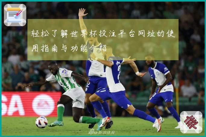 轻松了解世界杯投注平台网址的使用指南与功能介绍