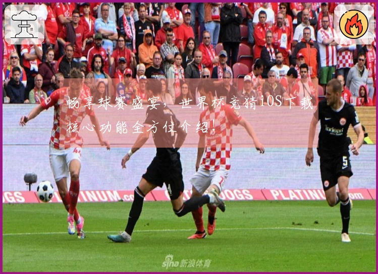 畅享球赛盛宴，世界杯竞猜iOS下载核心功能全方位介绍！